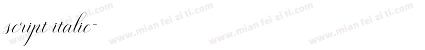 script italic字体转换